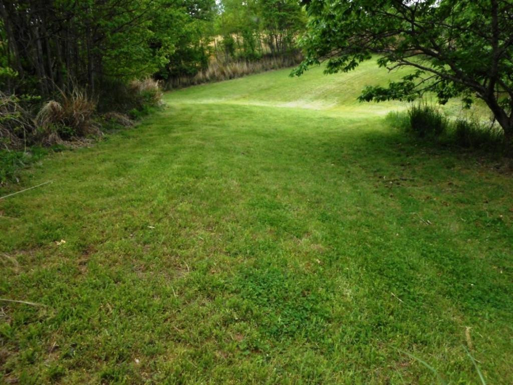 0 Hickory Hill Road Blackwater, VA 24221 - Photo 11 of 33 Photo 11