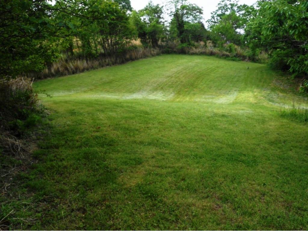 0 Hickory Hill Road Blackwater, VA 24221 - Photo 12 of 33 Photo 12