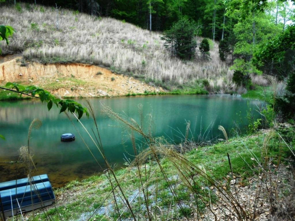 0 Hickory Hill Road Blackwater, VA 24221 - Photo 18 of 33 Photo 18