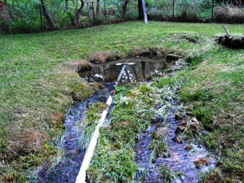 0 Hickory Hill Road Blackwater, VA 24221 - Photo 22 of 33 Photo 22