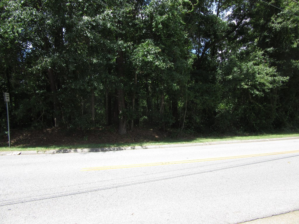 0 Rocky Branch Road Dothan, AL 36303 - Photo 3 of 5