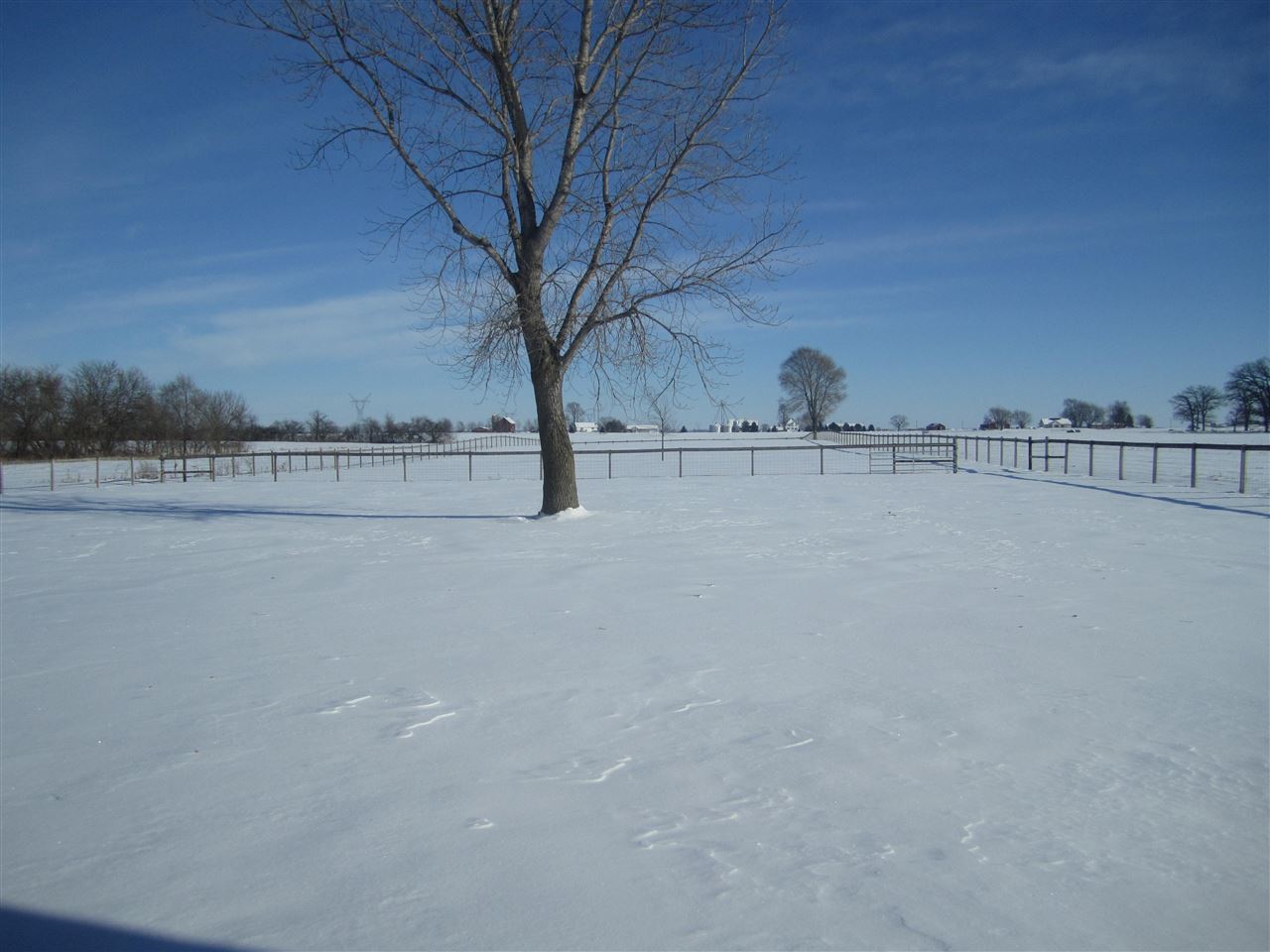 3767 Spring Center Road Garden Prairie, IL 61038 - Photo 16 of 17 a view of a lake with trees in the background