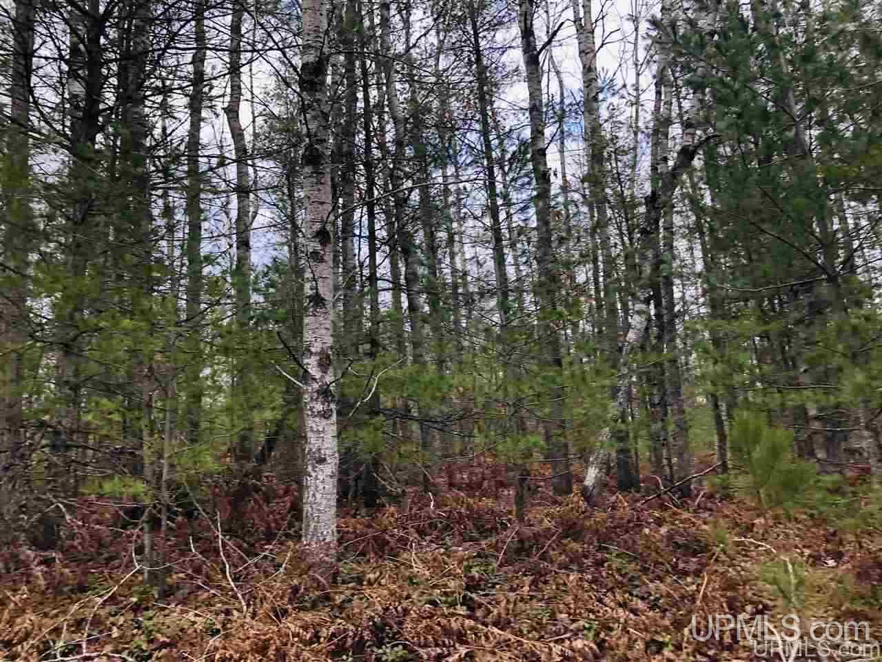 Tbd Mirror Lake Road Munising, MI 49862 - Photo 18 of 19