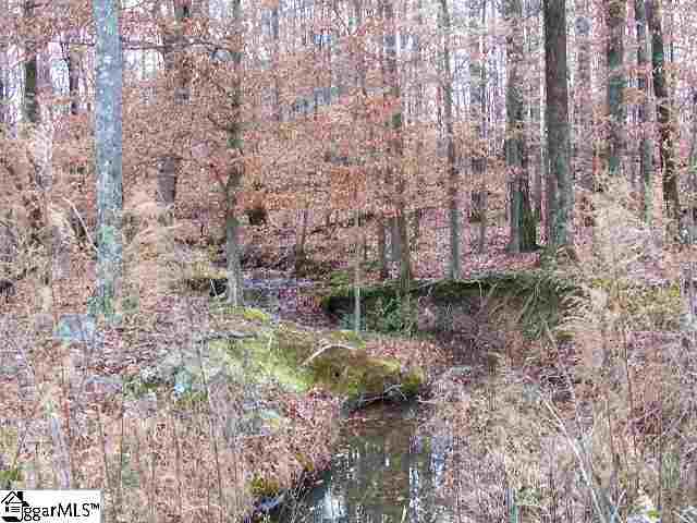 168 Stoddard Road, Unit LOT 9 Pelzer, SC 29669 - Photo 1 of 1