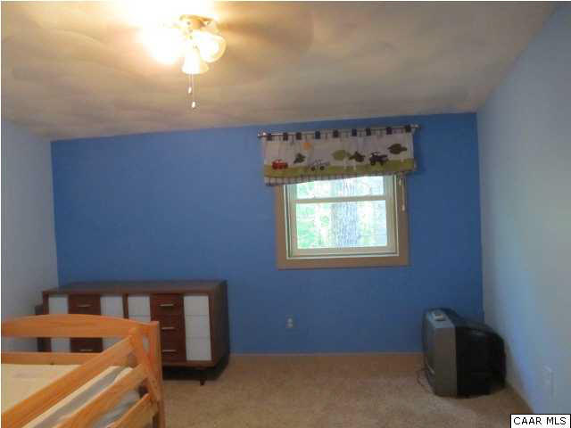 199 Trices Lake Road Columbia, VA 23038 - Photo 9 of 18 Gallery Image 9
