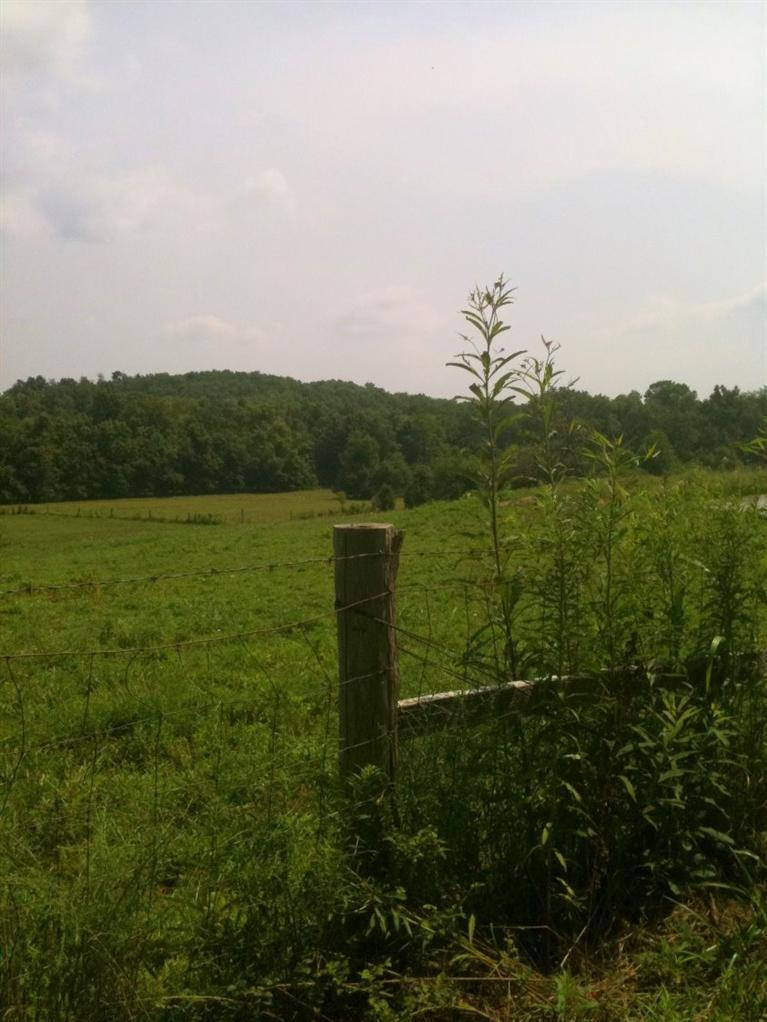980 Nield Road, Unit T2 Danville, KY 40422 - Photo 4 of 30 Photo 4