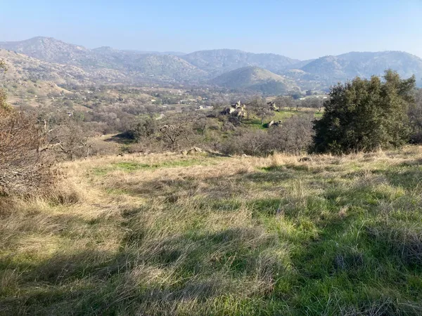 a view of a field