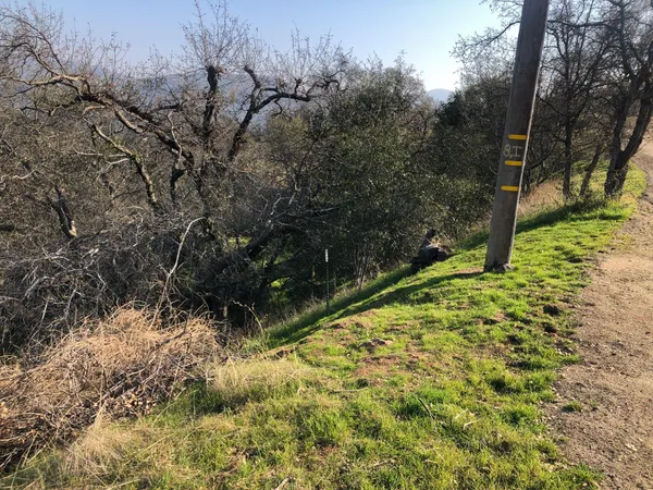 a backyard of a house with lots of green space