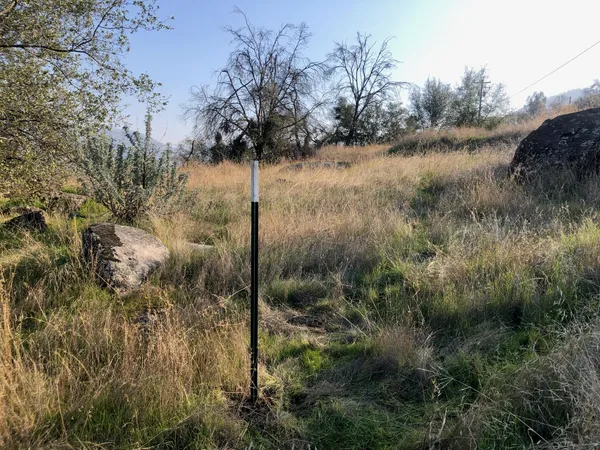 a view of lake and tree
