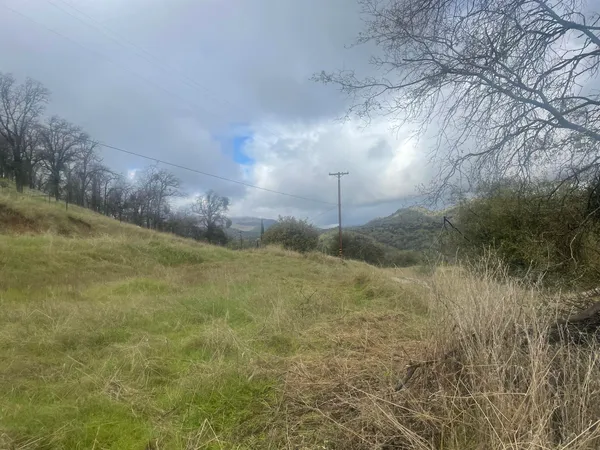a view of yard with green space