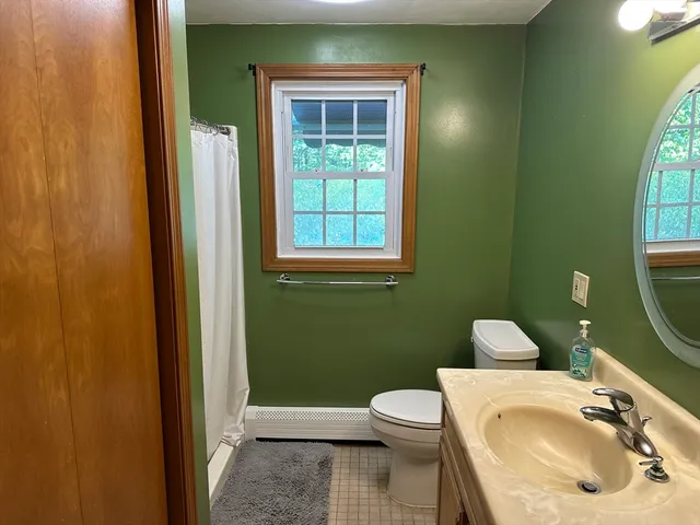 a bathroom with a sink and a toilet