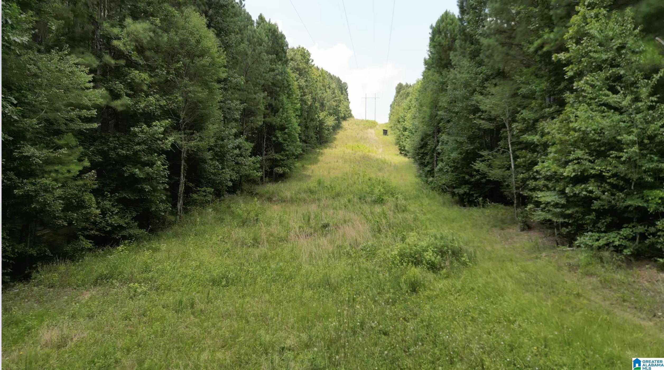9600 Highway 77, Unit 1 Ohatchee, AL 36271 - Photo 13 of 18
