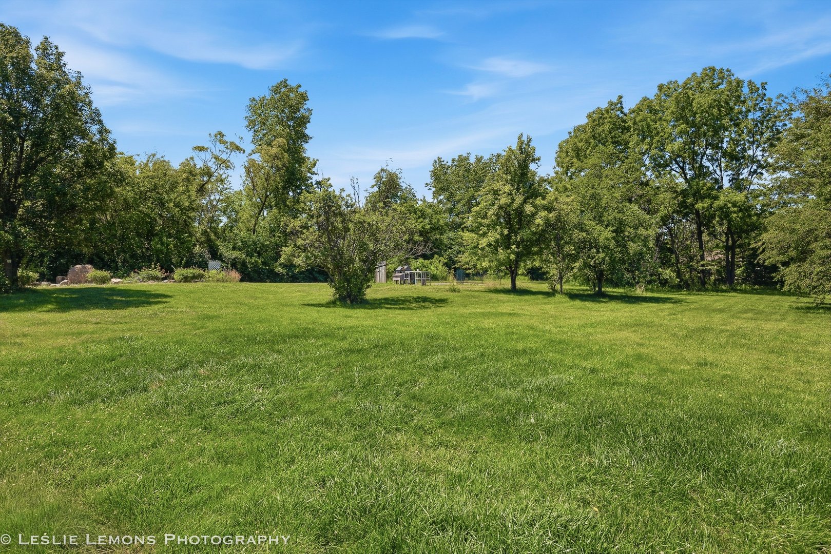 8705 East Pine Bluff Road Coal City, IL 60416 - Photo 31 of 36
