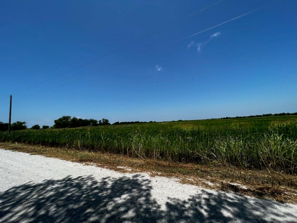 0 Private Road 196 Road Blum, TX 76627 - Photo 3 of 4