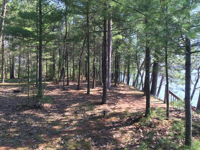 6570 South Bluebird Road Lake Tomahawk, WI 54539 - Photo 4 of 20 Gallery Image 4