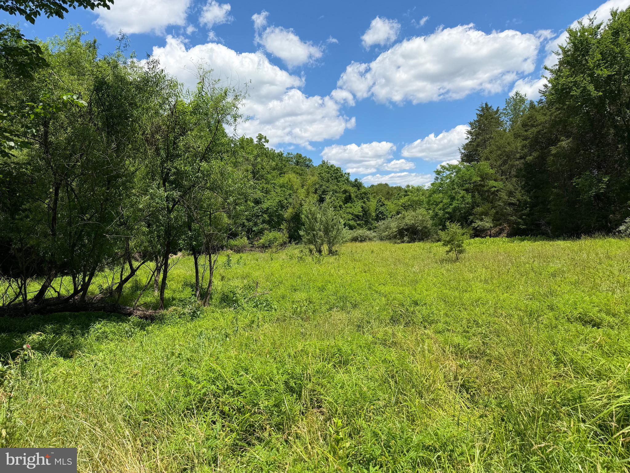 511 Chickadee Road Purgitsville, WV 26852 - Photo 14 of 99
