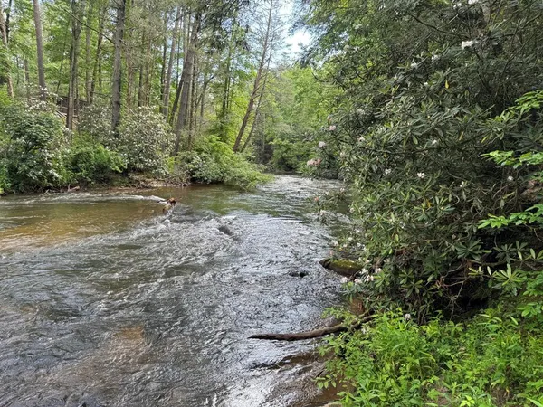 $249,000 | Lot 61 White Pine Trail, Suches, GA 30572