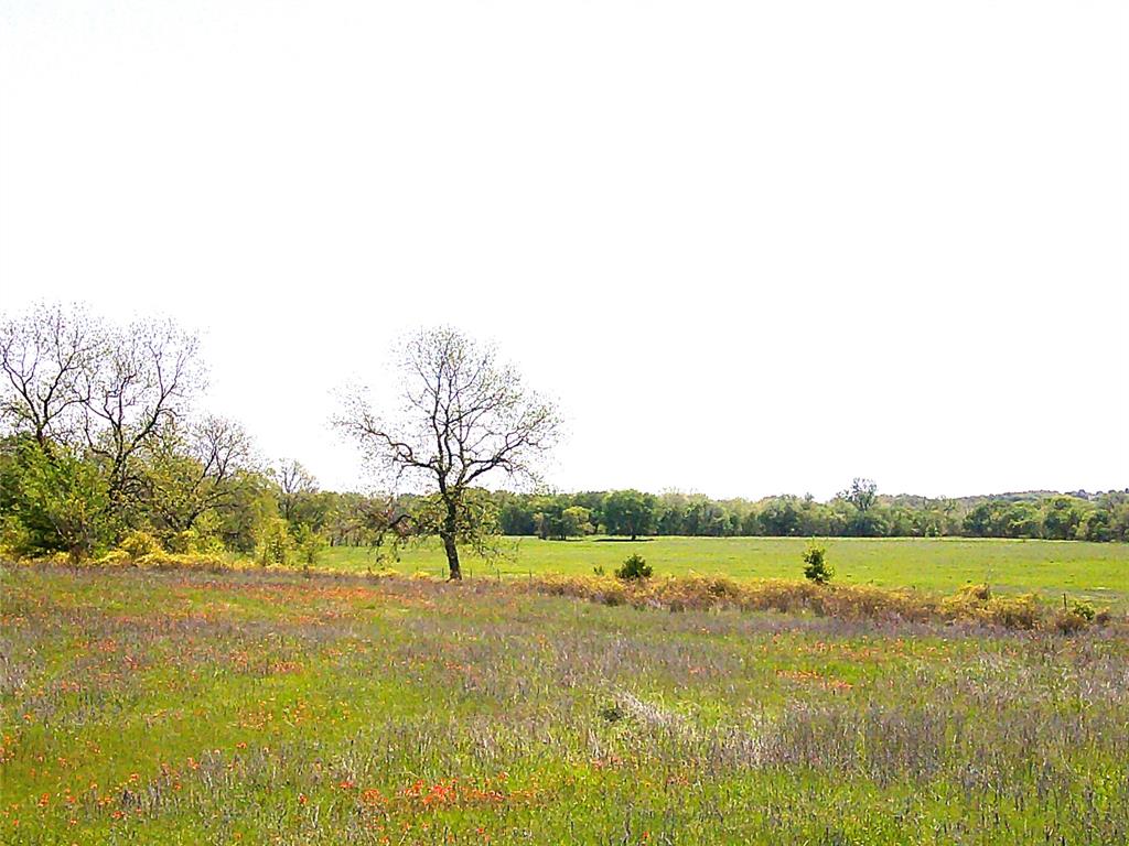 55-ac Starr Mann Road St. Jo, TX 76265 - Photo 4 of 9 a view of an ocean