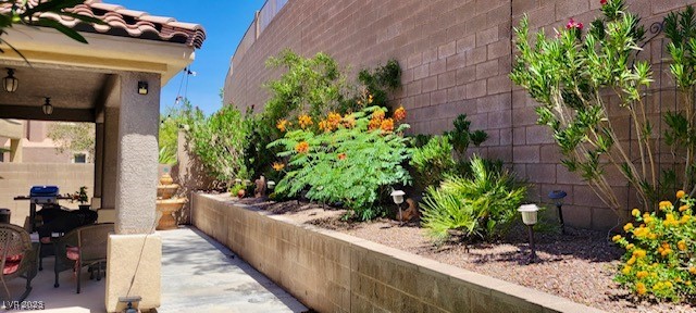 2764 Craigmillar Street Henderson, NV 89044 - Photo 21 of 24 Backyard...Beautiful landscaping and Covered Patio.