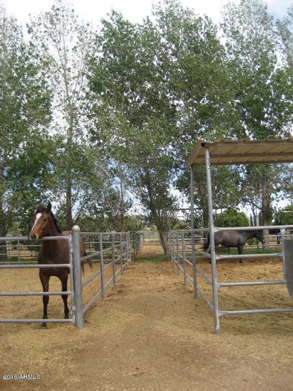 1440 West Irvine Road Phoenix, AZ 85086 - Photo 10 of 24 20110403151703626575000000-oPens
