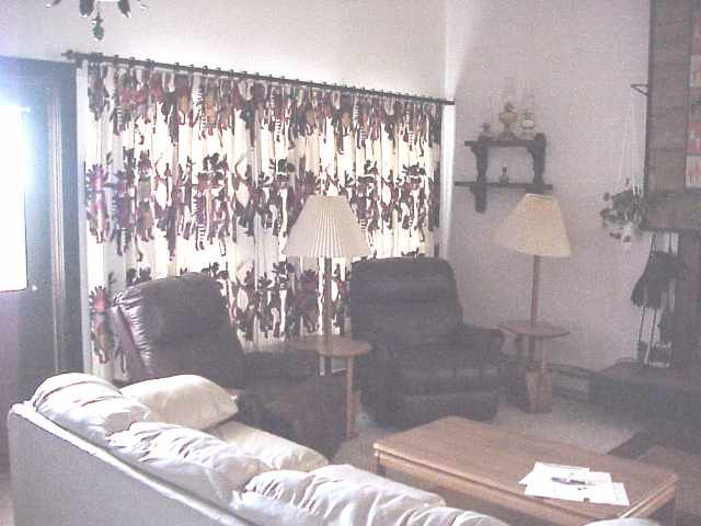 313 Tamarack Spokane, WA 99208 - Photo 2 of 9 Gallery Image 2