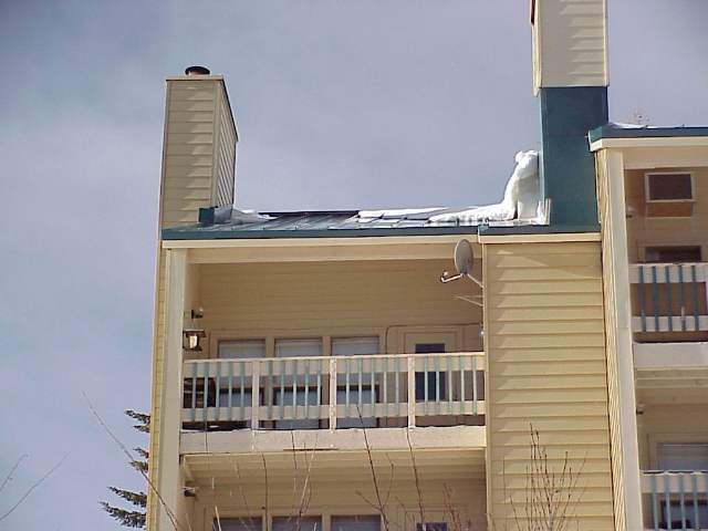 313 Tamarack Spokane, WA 99208 - Photo 5 of 9 Gallery Image 5