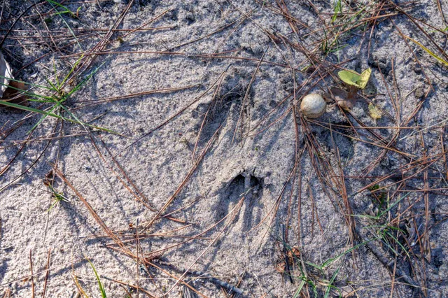 $89,900 | 1032 14th Court, Arkdale, WI 54613