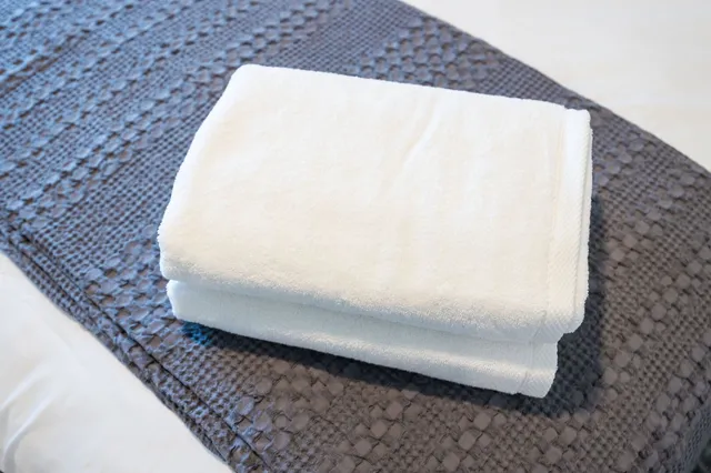 $6,995 | 635 7th Avenue South, Unit 311, Nashville, TN 37203