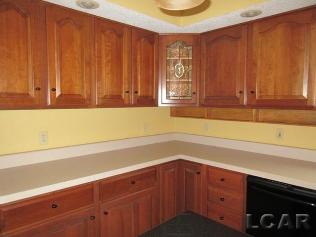 1812 Dinius Road Tecumseh, MI 49286 - Photo 17 of 48 CHERRY CABINETS
