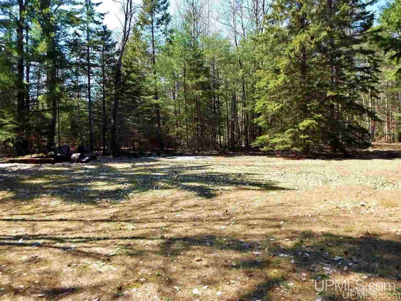 11333 West Co Road Manistique, MI 49854 - Photo 11 of 38