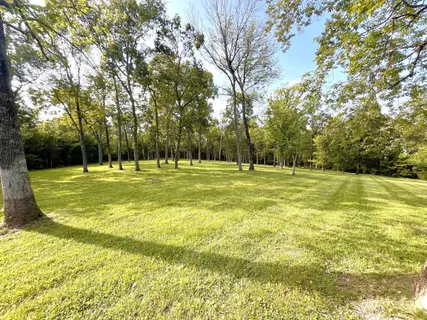 a view of a tennis ground with large trees
