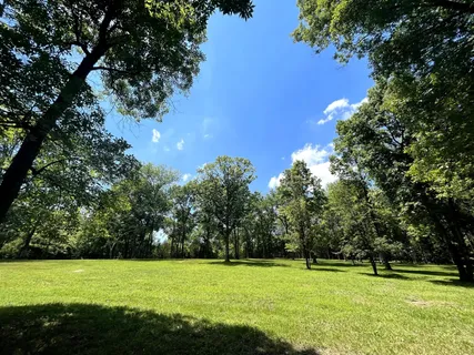a view of green field