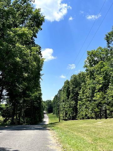 a view of a yard with plants and large trees