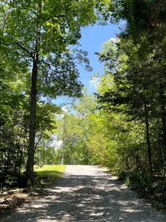 a big yard with trees in the background