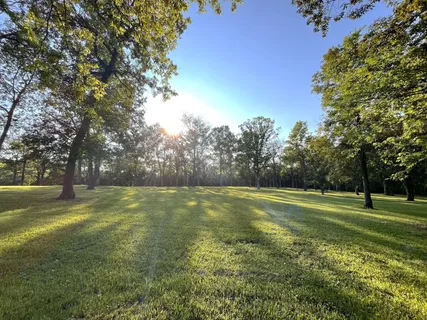 a view of green field