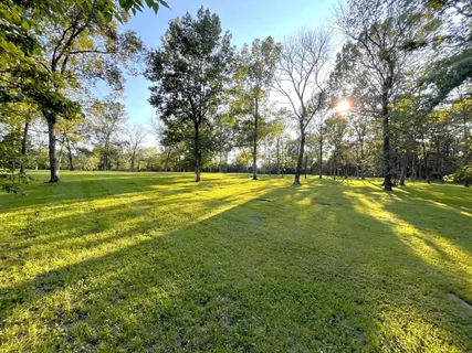 a view of a garden with flowers and trees