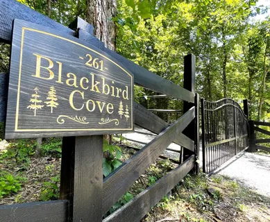 a view of outdoor space and yard