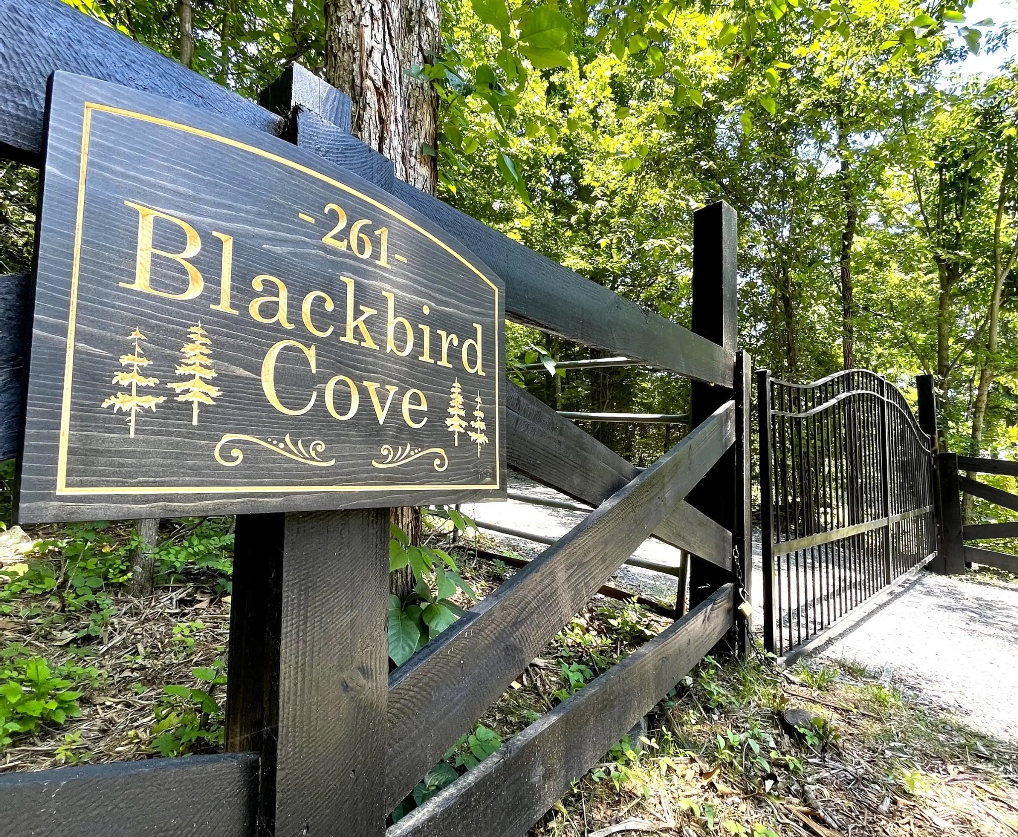 261 Blackbird Road Mount Juliet, TN 37122 - Photo 2 of 36