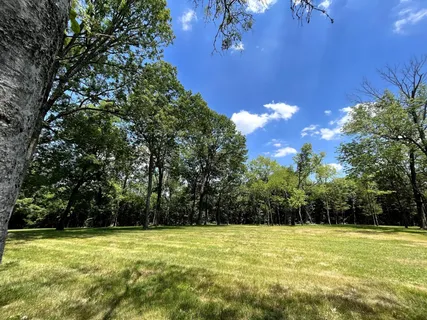 a view of field with trees