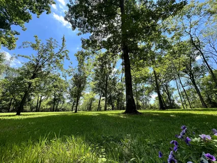a view of a volley ball court