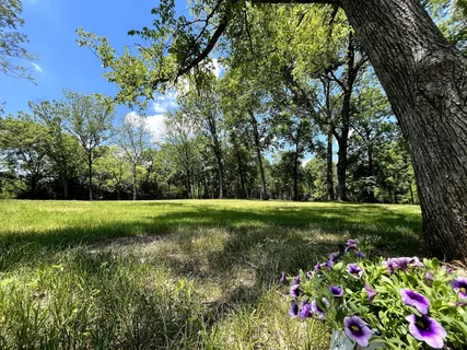 a garden view with a fountain