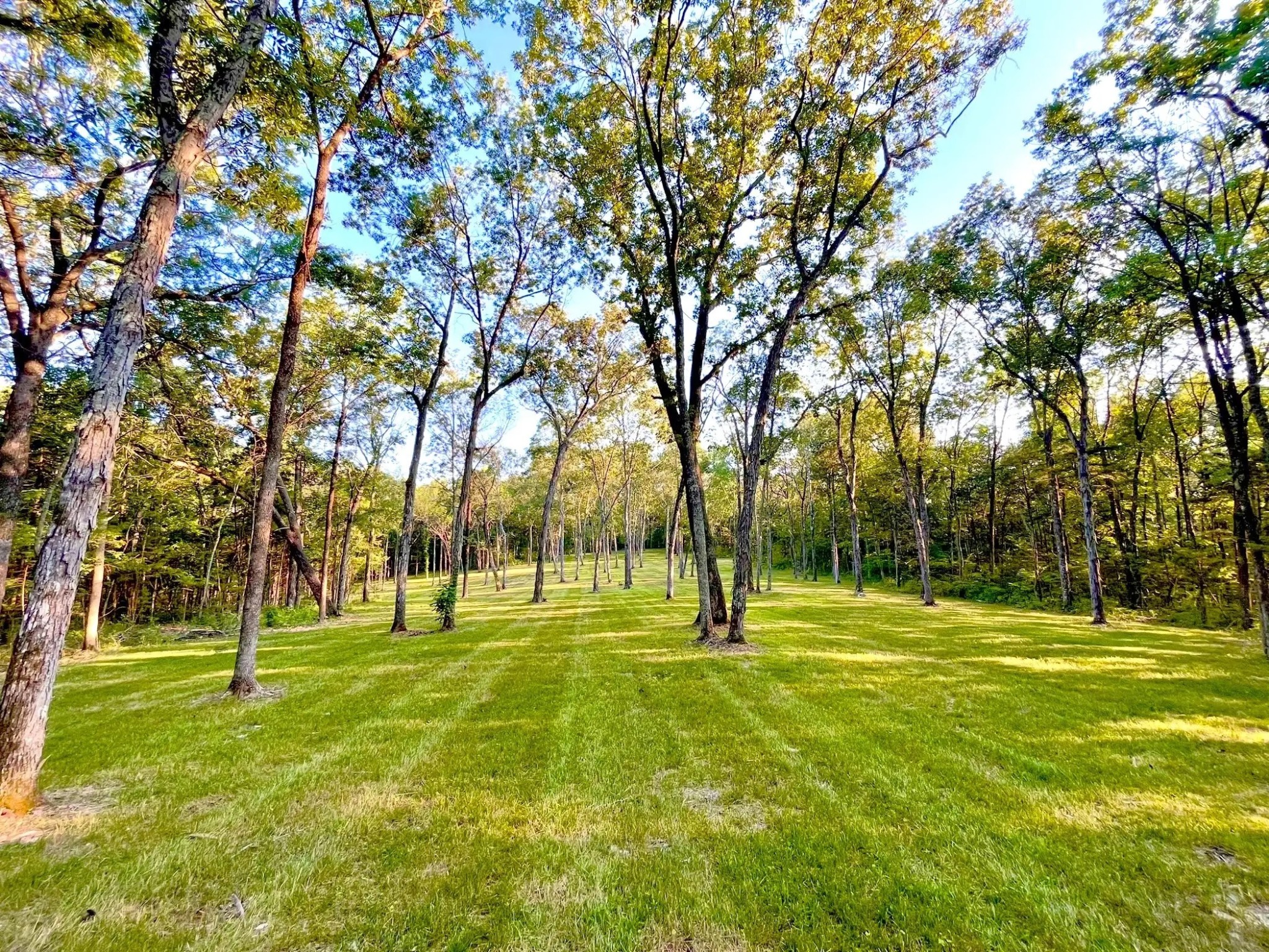 261 Blackbird Road Mount Juliet, TN 37122 - Photo 24 of 36 a view of field with trees