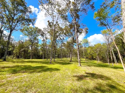 a swimming pool with lots of trees