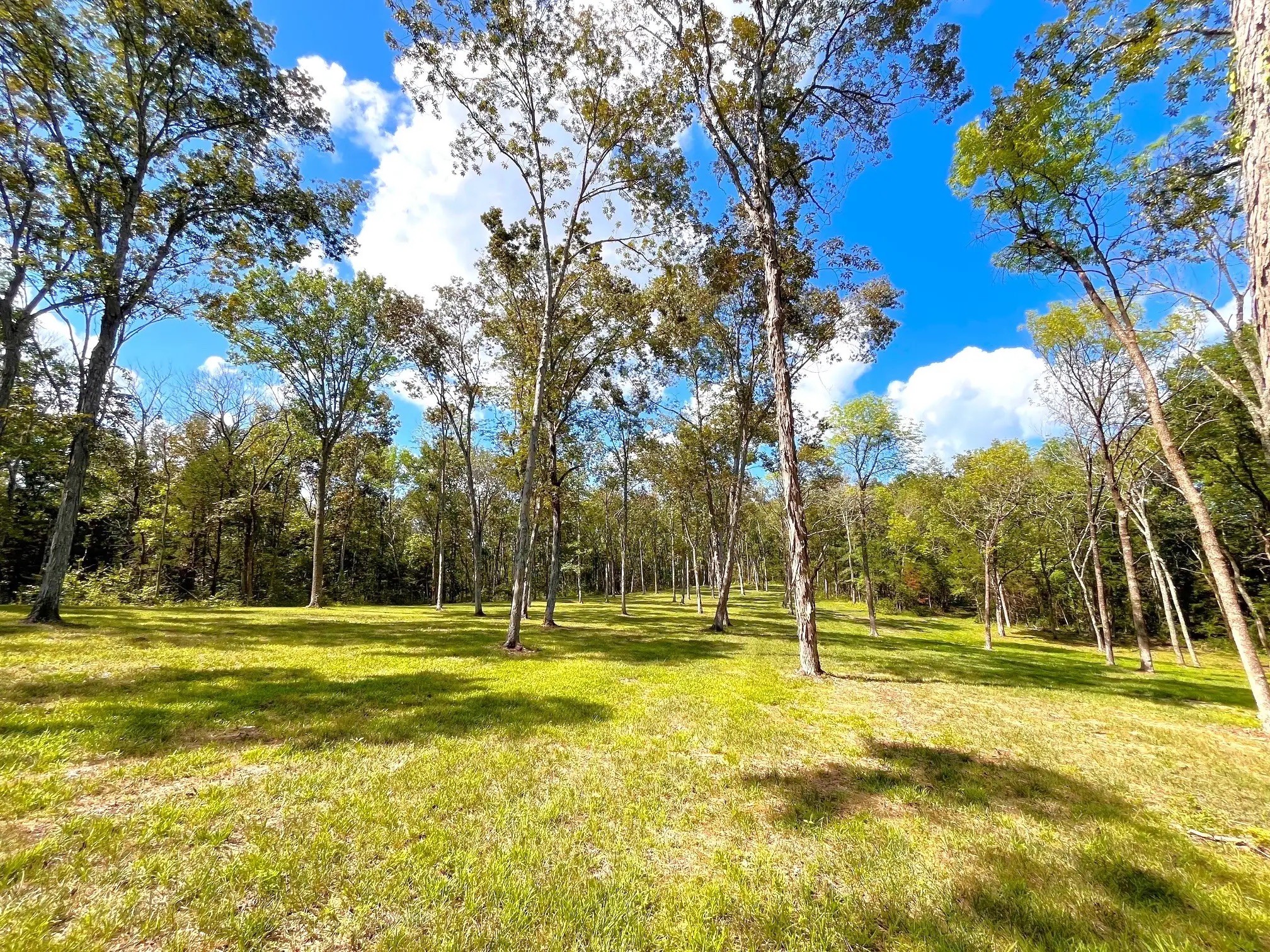 261 Blackbird Road Mount Juliet, TN 37122 - Photo 25 of 36 a view of a volley ball court