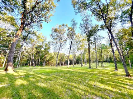 a view of a basketball court