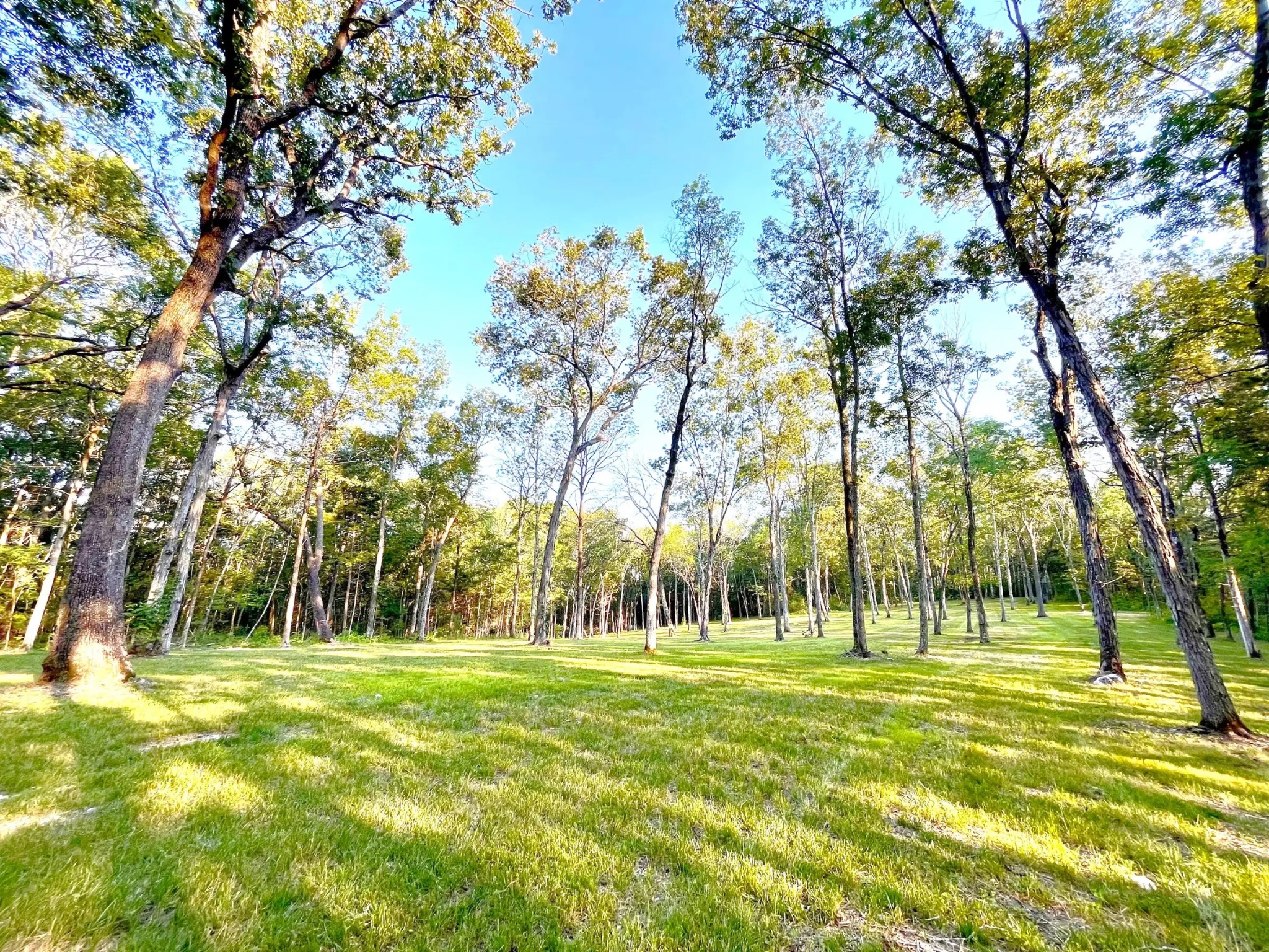 261 Blackbird Road Mount Juliet, TN 37122 - Photo 27 of 36 a view of park