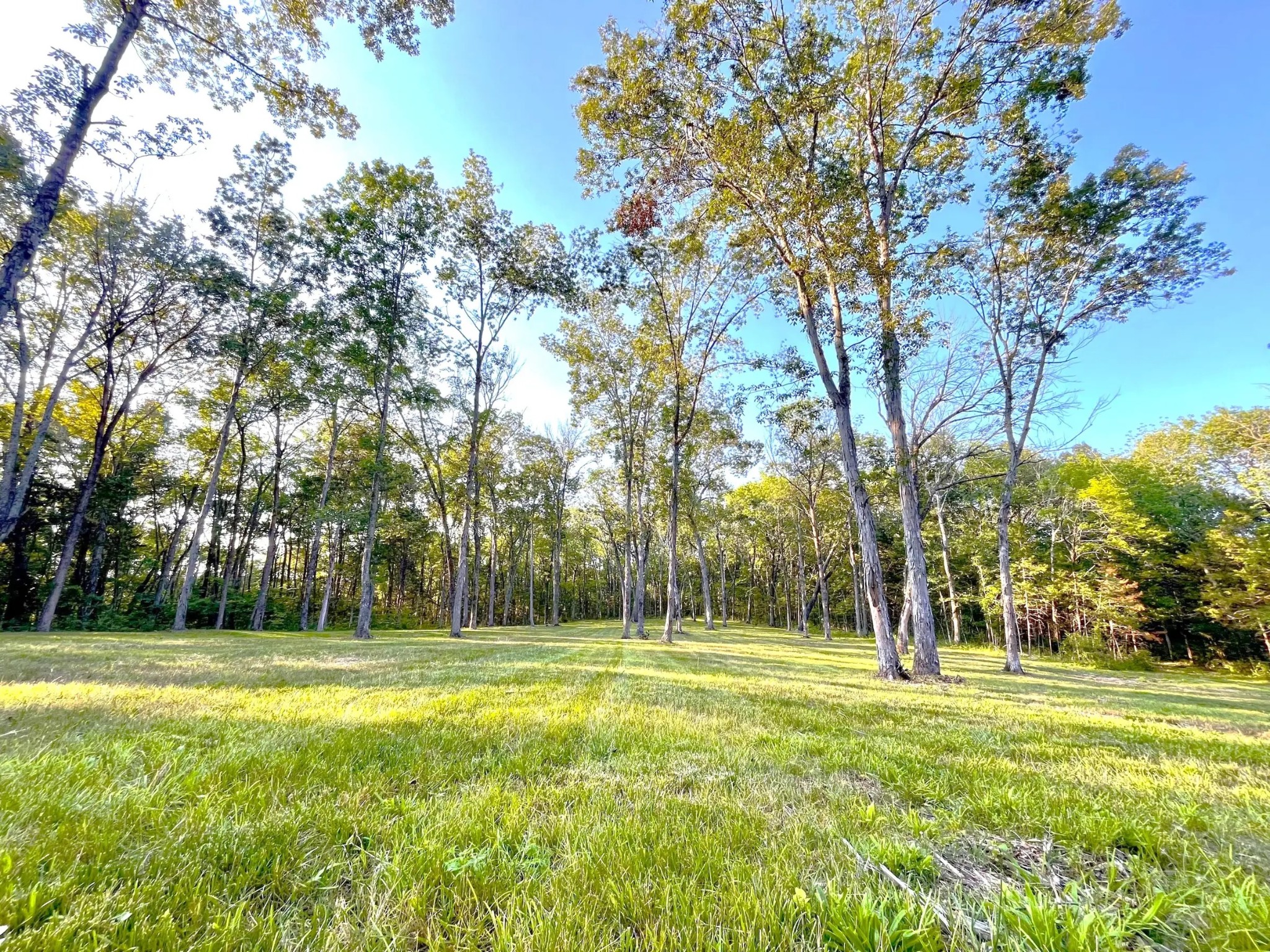 261 Blackbird Road Mount Juliet, TN 37122 - Photo 29 of 36 a view of a park with large trees