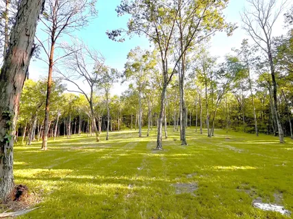 a view of a yard with snow on the road