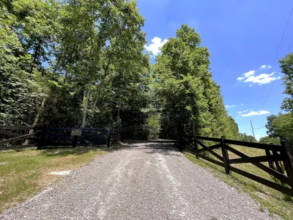 a view of a swimming pool with a yard and large trees