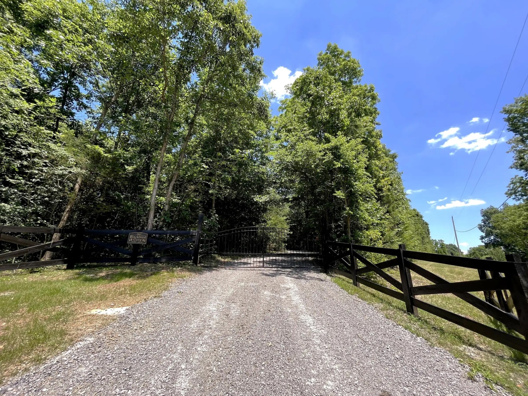 261 Blackbird Road Mount Juliet, TN 37122 - Photo 3 of 36 a view of outdoor space and yard